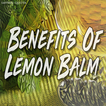 Benefits Of Lemon Balm