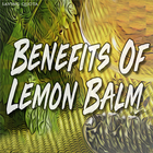Benefits Of Lemon Balm icon