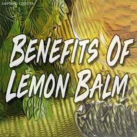 Poster Benefits Of Lemon Balm