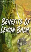 1 Schermata Benefits Of Lemon Balm