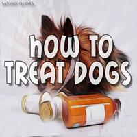 How To Treat Dog Bite Affiche