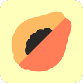 HealthPapaya: Holistic Health