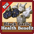 Black Garlic Health Benefit أيقونة