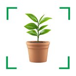 Plant Identifier & Plant Guide