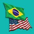 Portuguese Translator