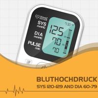 Blutdruck Tracker App Screenshot 2