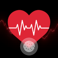 Heart Rate Monitor & Pulse App