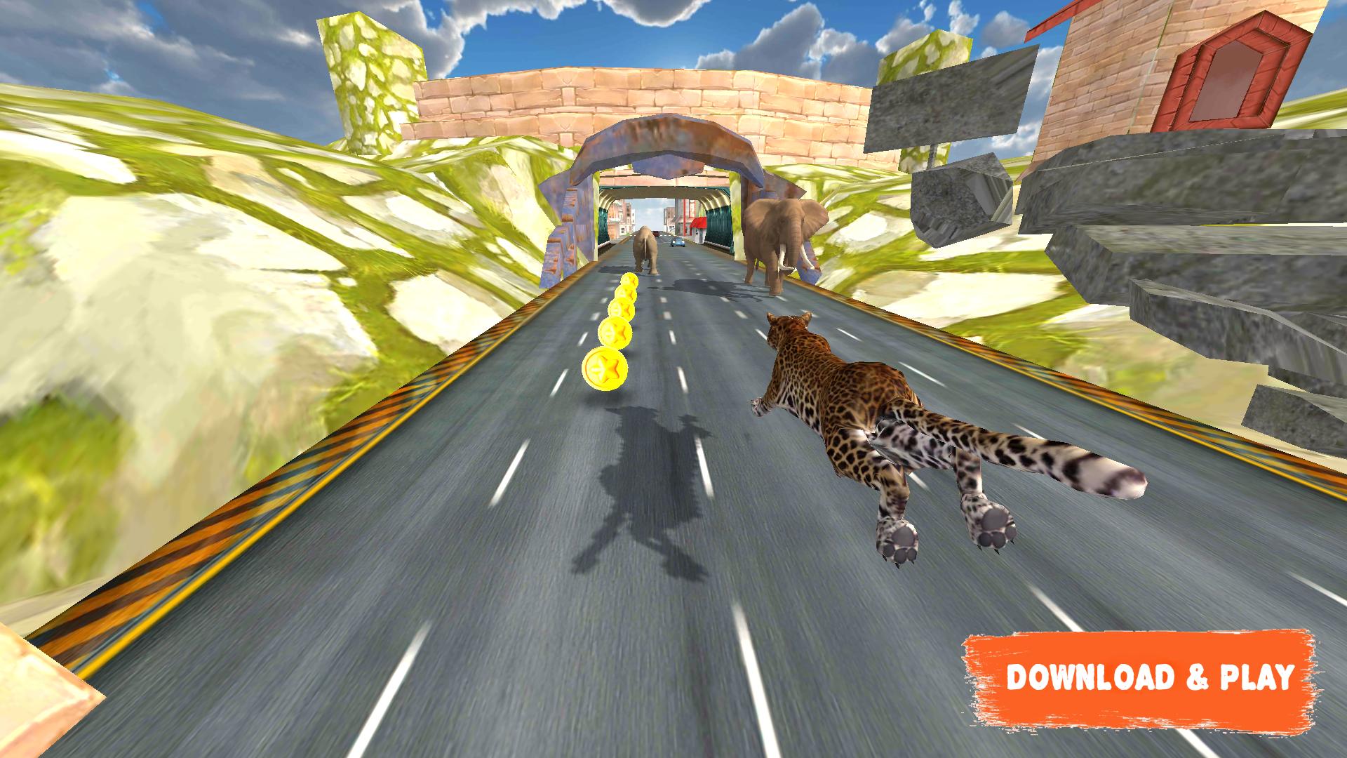 Animal race. Endless Highway. Animal Race story.