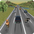 Wild Race in Heavy Traffic