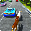 Pet Run for life in traffic: Survival from Wild