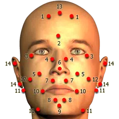 Massage Body Spots