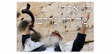 סליחות