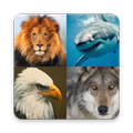 Birds and Animals - Global