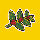 Heine Bros icono