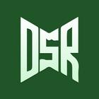 Heineken DSR ikon