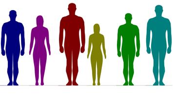 Visual Height Comparison पोस्टर