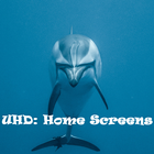 UHD: Home Screen Wallpapers icône