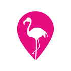 Flamingo Provider icône