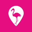 Flamingo Provider