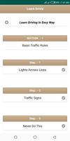 Learn Driving স্ক্রিনশট 3