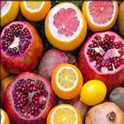 Fat Burning Foods アイコン