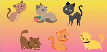 What cat breed are you? Test