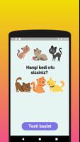 Hangi kedi ırkı sizsiniz? Ölçe gönderen