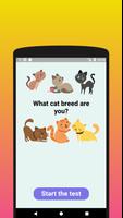 What cat breed are you? Plakat