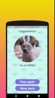 What cat breed are you? Screenshot 3