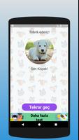 Hangi hayvansın? Ekran Görüntüsü 3