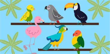 What kind of bird are you? Tes