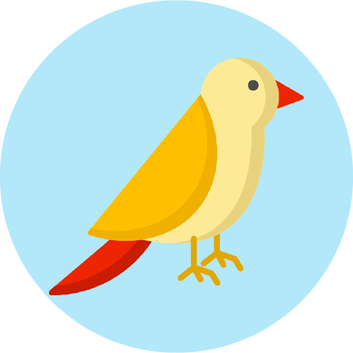 What kind of bird are you? Tes