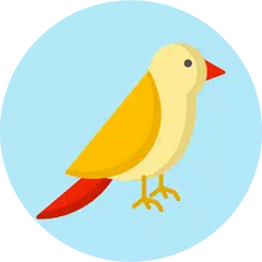 What kind of bird are you? Tes APK download
