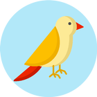 Bạn là loại chim nào? biểu tượng
