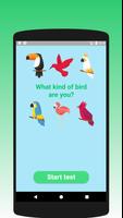 پوستر What kind of bird are you?