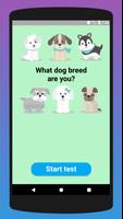 پوستر What dog breed are you?