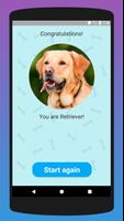 What dog breed are you? Ekran Görüntüsü 1