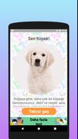 Kedi misin yoksa köpek mi? bil Ekran Görüntüsü 3