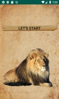 What Animal Are You? Personali poster