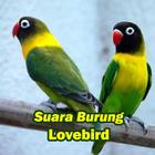 آیکون‌ Suara Burung Lovebird Masteran