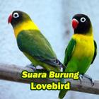 Suara Burung Lovebird Masteran icône