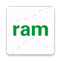 BP RAM