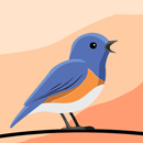APK Chirpy