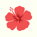 Ola Challenge APK