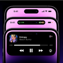 nodorios APK