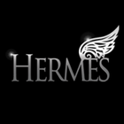 Hermes Ski icône