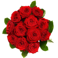 Roses stickers