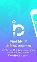 Find My IP & MAC Address Poster