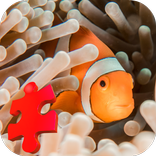 Clown Fish Jigsaw Puzzle Game