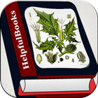 Herbal medicines plant icon